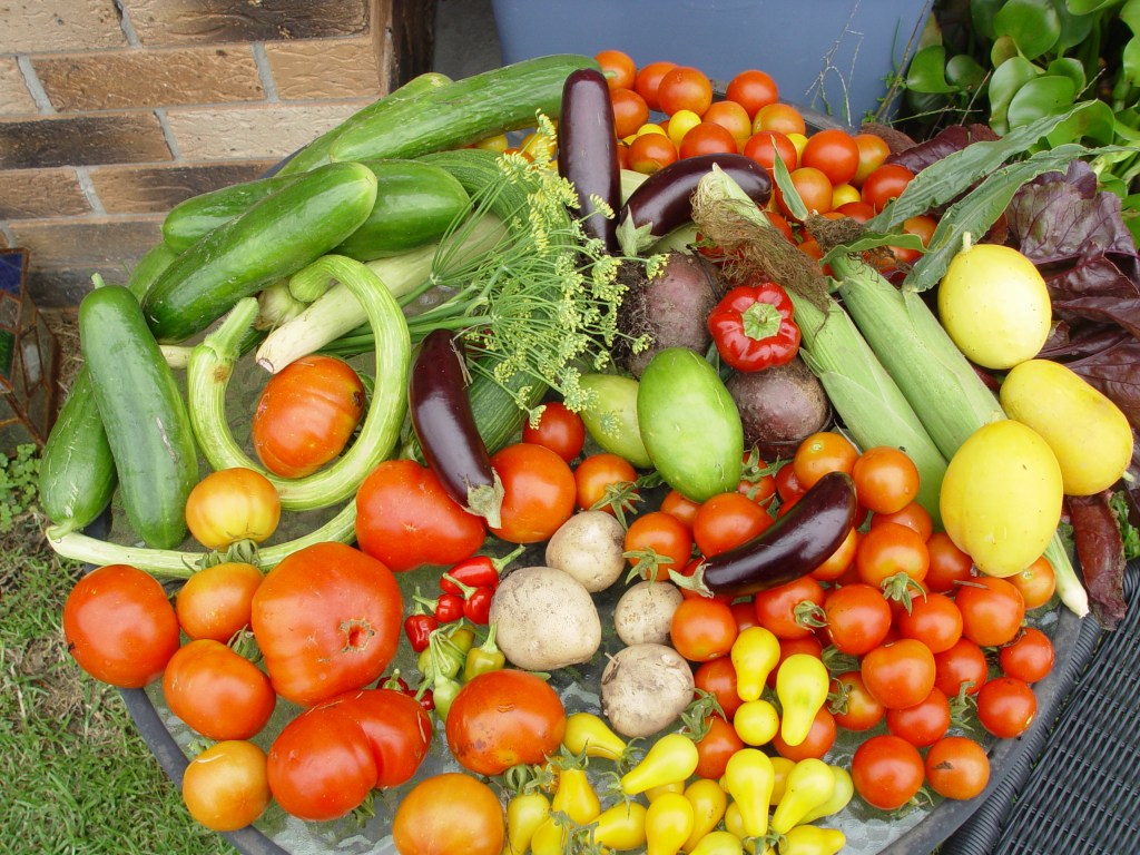 Today’s Forage in the Vegetable&nbsp;Patch