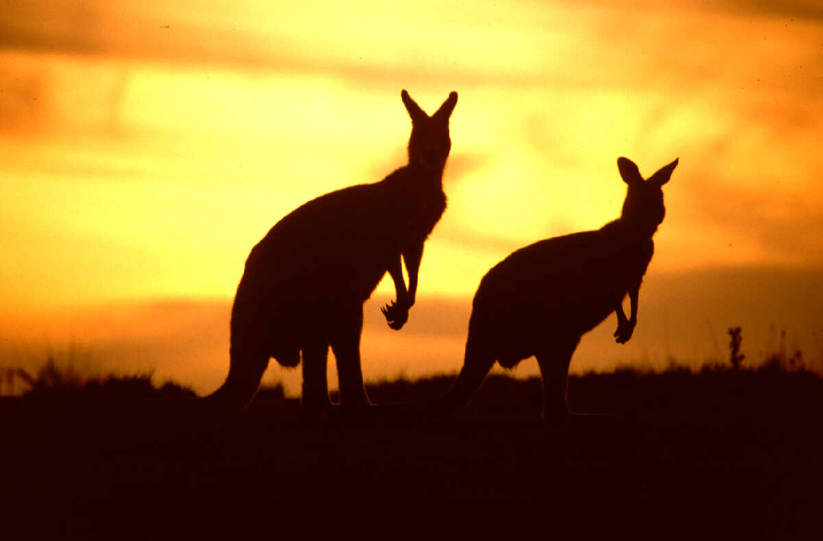 And the sun sets on a sunburnt country