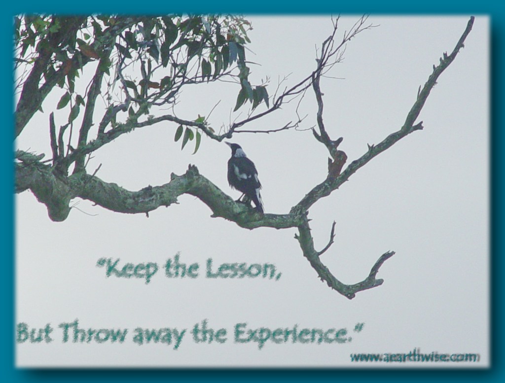 “Keep the lesson, but throw away the experience.”