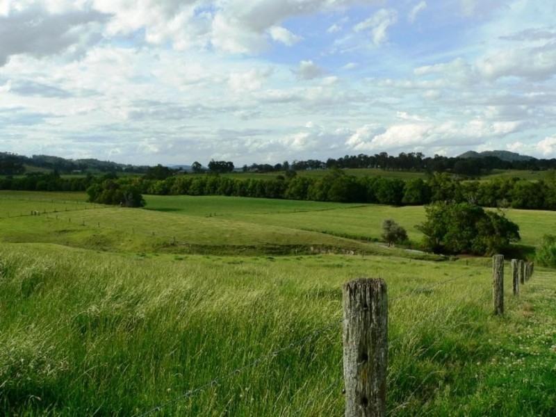 Love the land, Love the&nbsp;Man