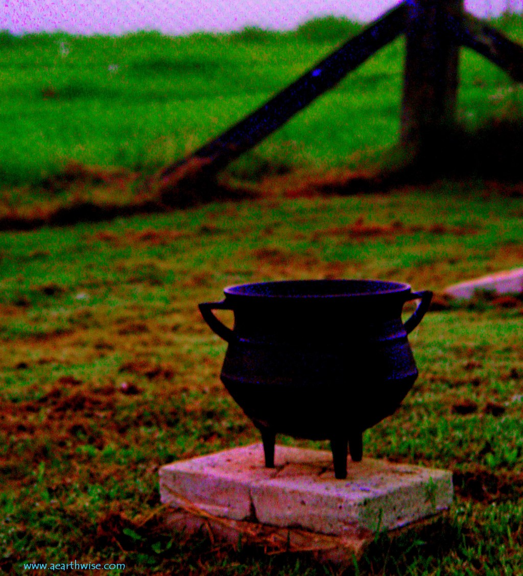 Morning Mist &&nbsp;Mud