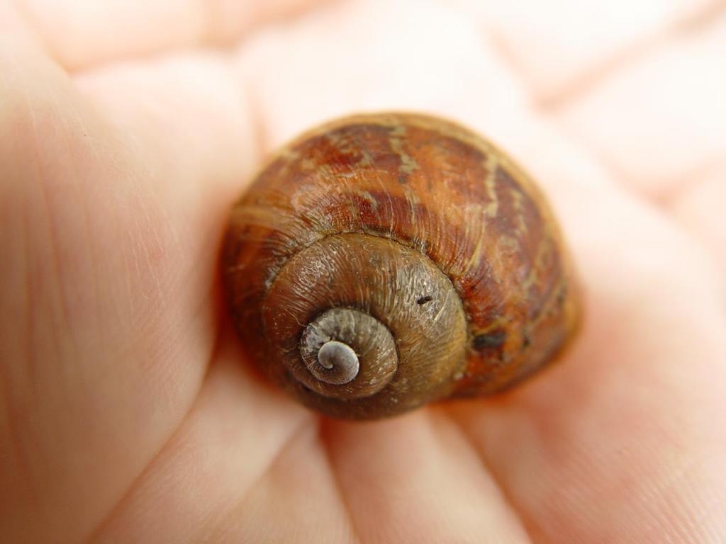 336685_203378653082831_286361907_o