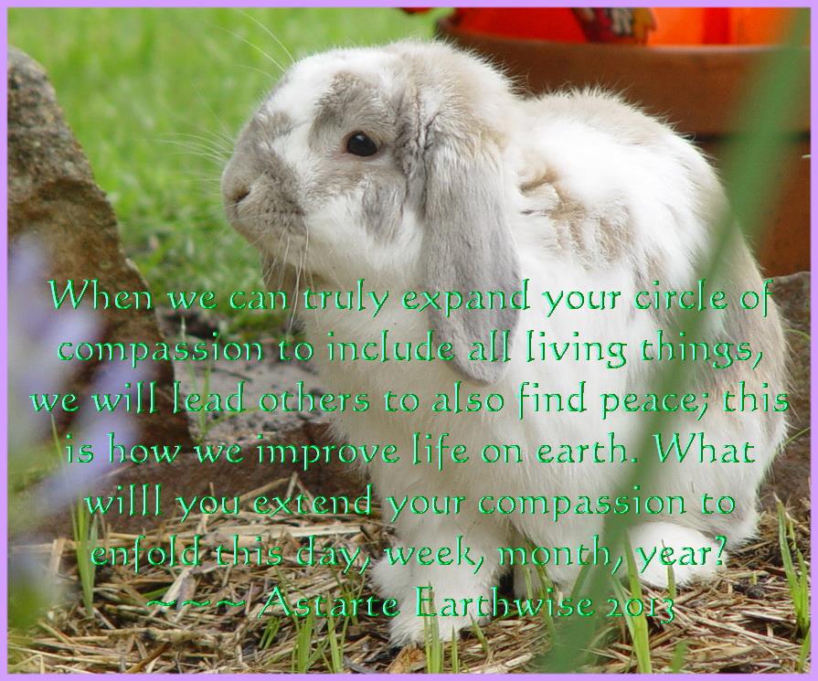 993658_526836277403732_689539820_n