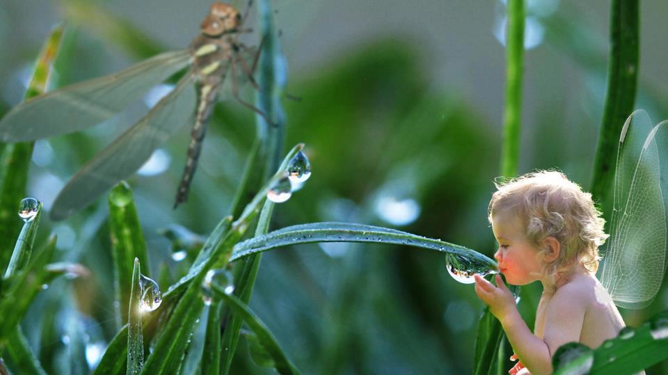 $(KGrHqEOKooFGWwrGOGnBRpYCoSkFQ~~60_14