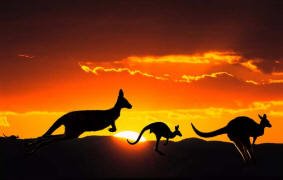 $(KGrHqEOKooFGWwrGOGnBRpYCoSkFQ~~60_14