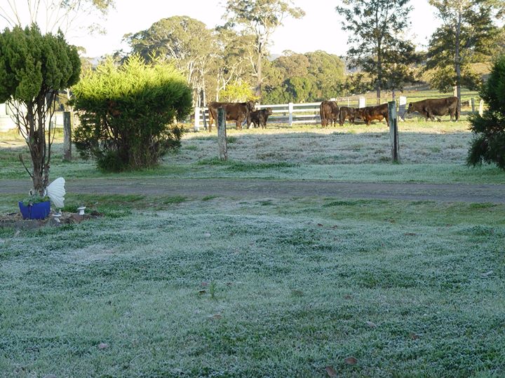 $(KGrHqEOKooFGWwrGOGnBRpYCoSkFQ~~60_14