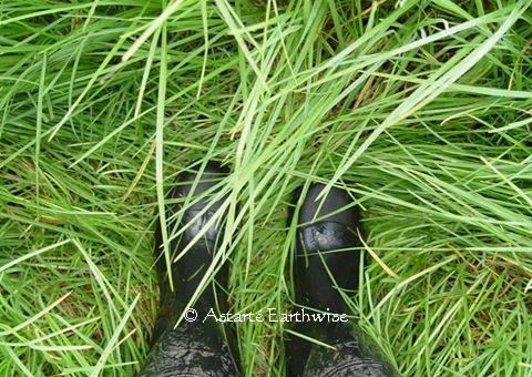 0a2098123c674ced87686366410307db