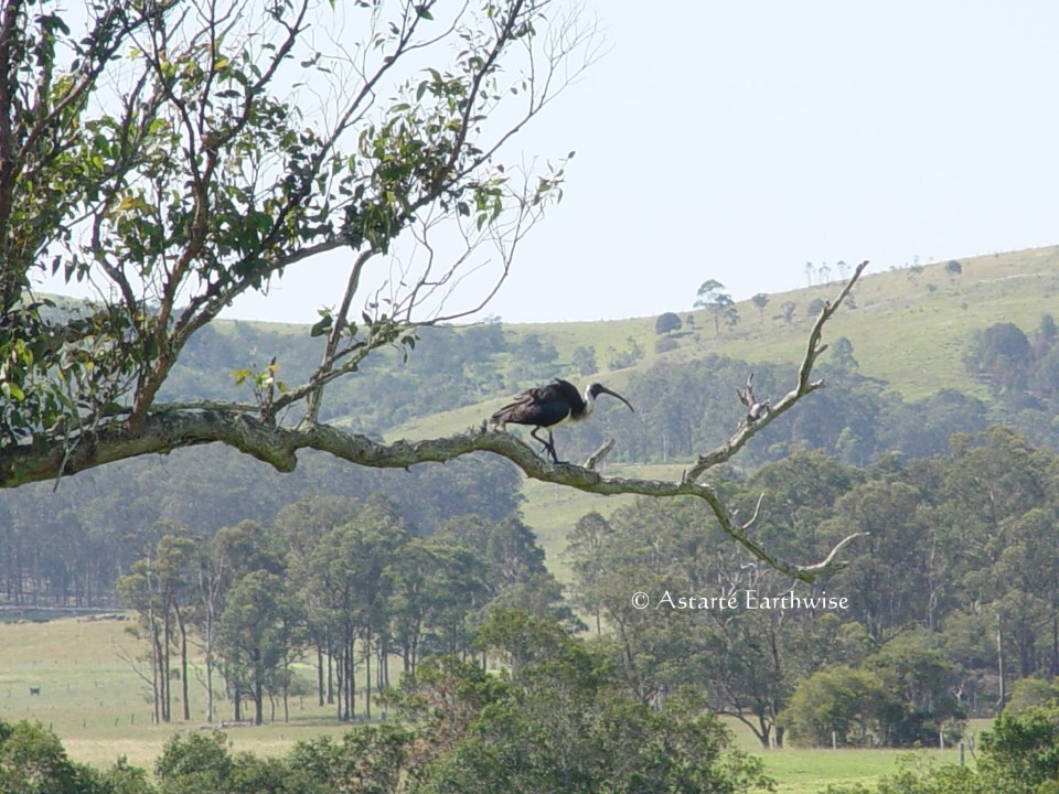 0a2098123c674ced87686366410307db