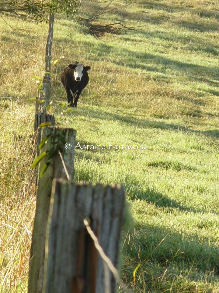 3dff6de3cc028ab737789721ecd202b1