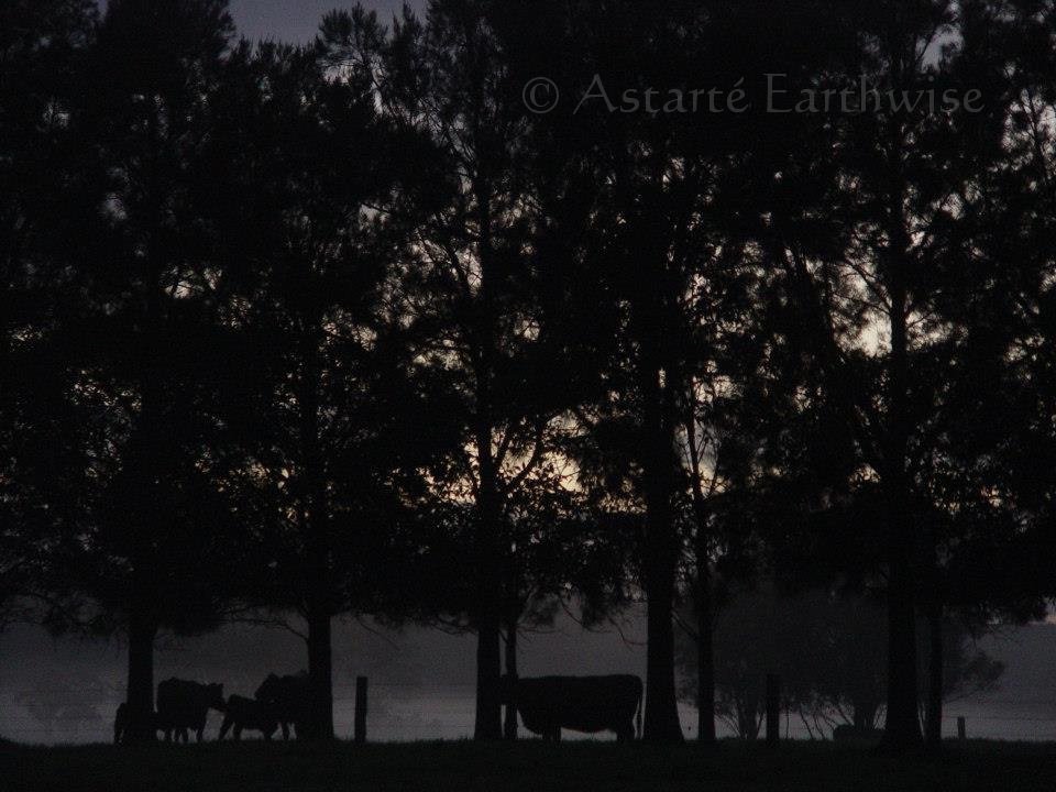 318094_10151002603287975_841516446_n