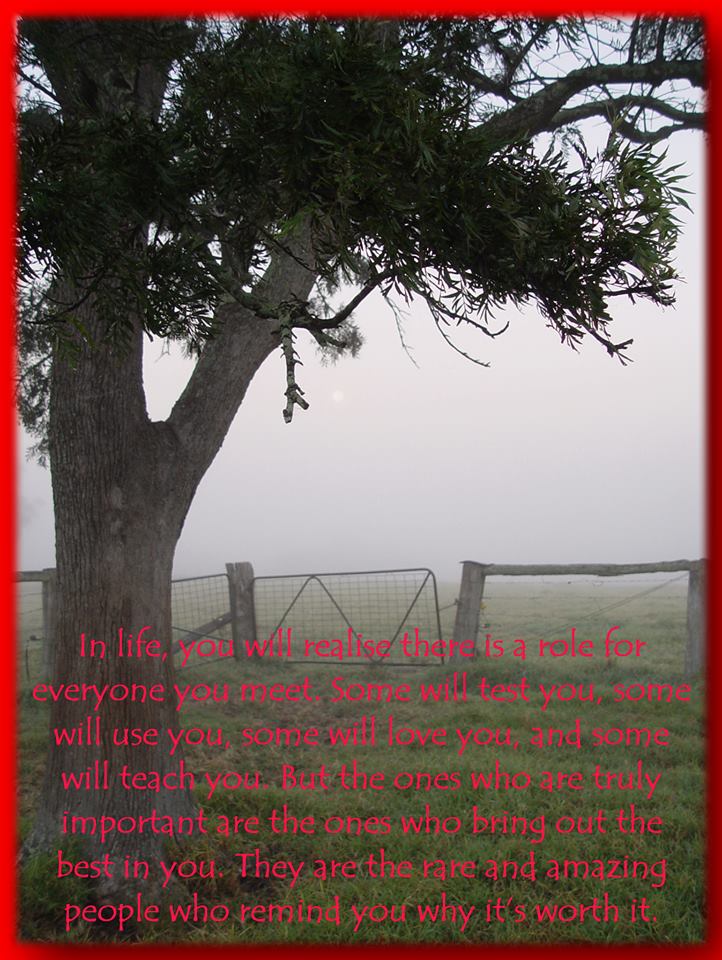 51+Rb446fkL._SX322_BO1,204,203,200_