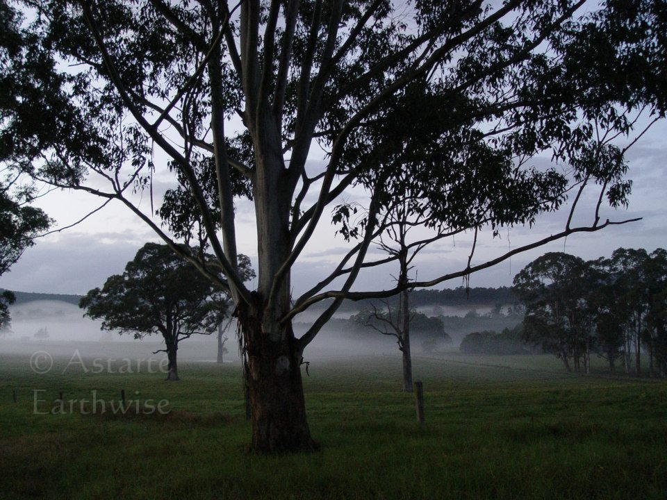 542457_10151002605192975_1407653870_n