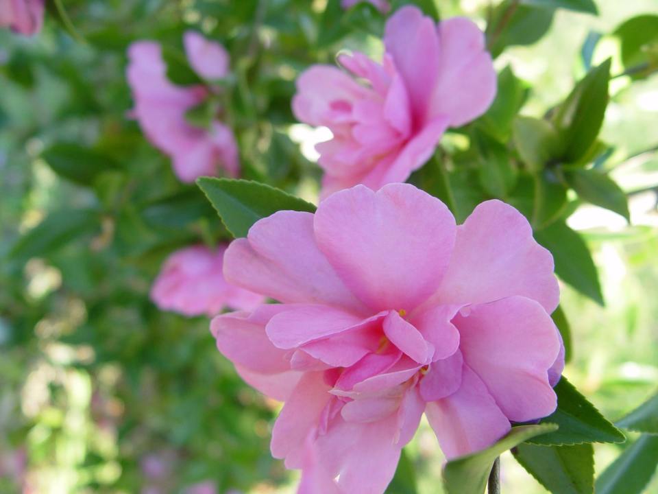 10379720_10152612694992975_1263477979562924978_o