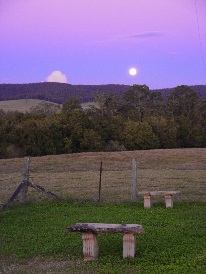 533000_10151021575012975_908930784_n