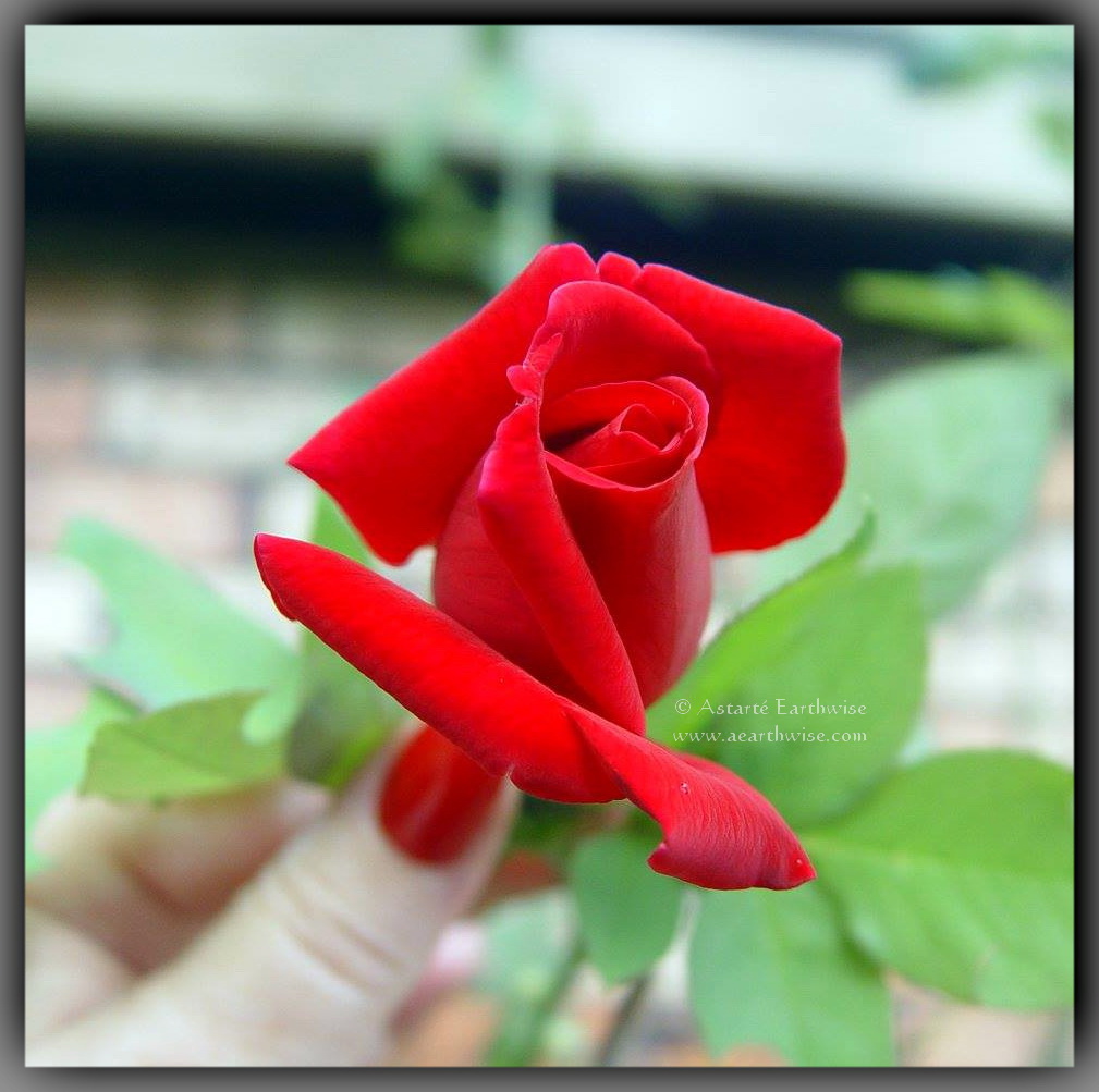 Opening Up