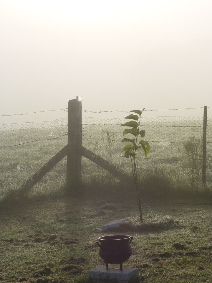 254959_10151590755937975_332394434_n