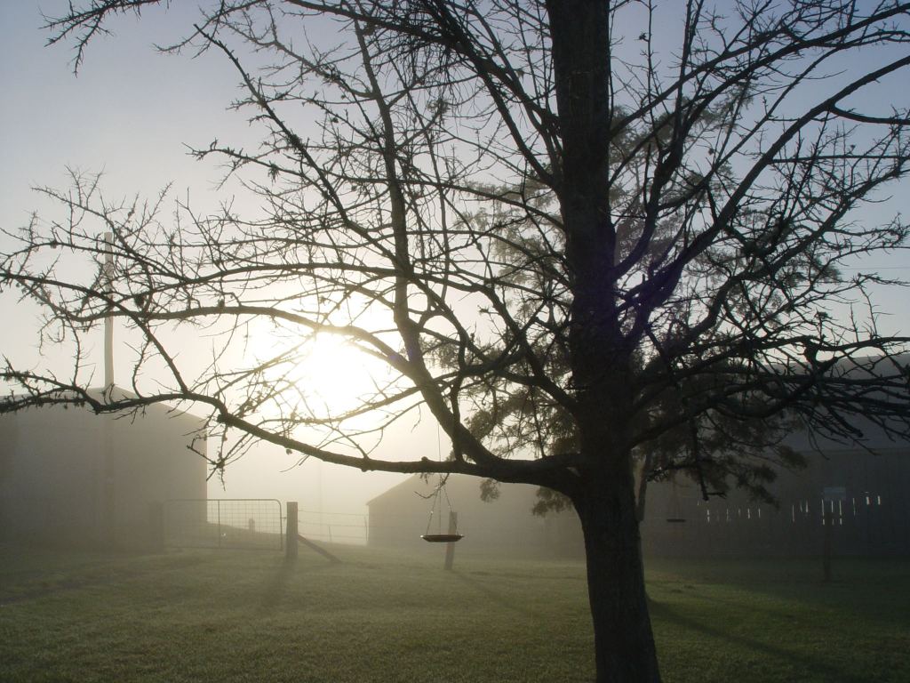 EQUINOX APPROACHING MISTS