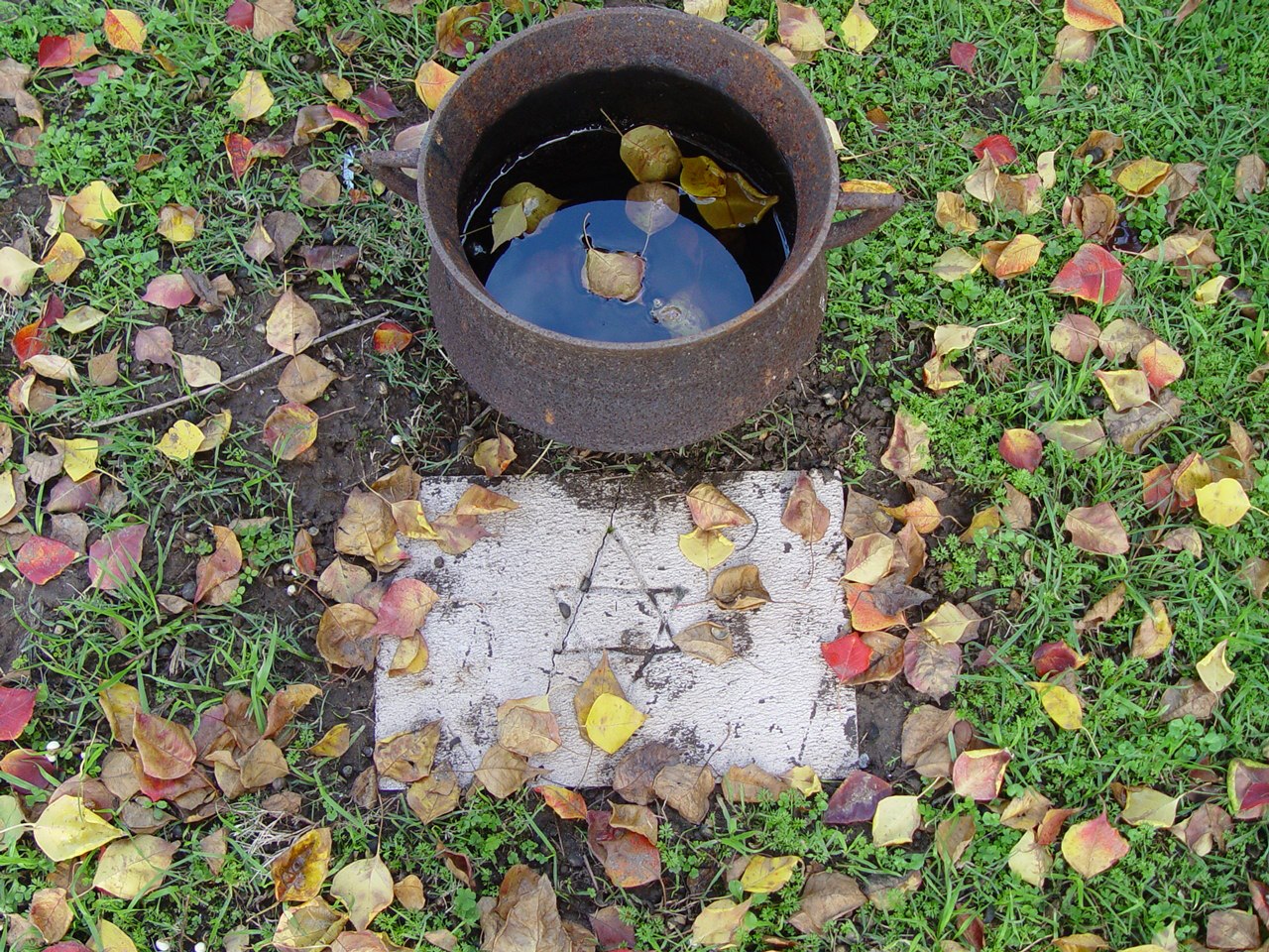 887322_10151574188007975_1853661183_o