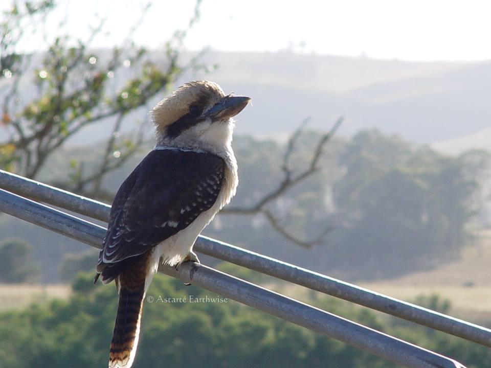 Packing Morning Moments