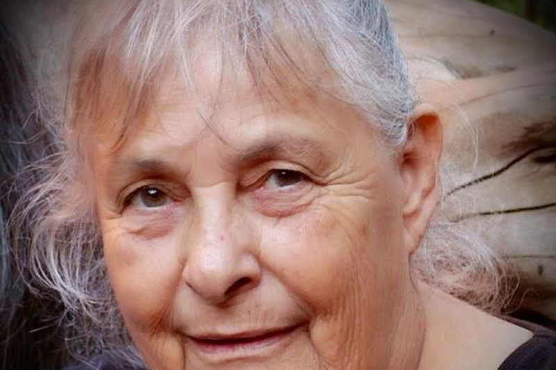 16304282_1480200403.0767