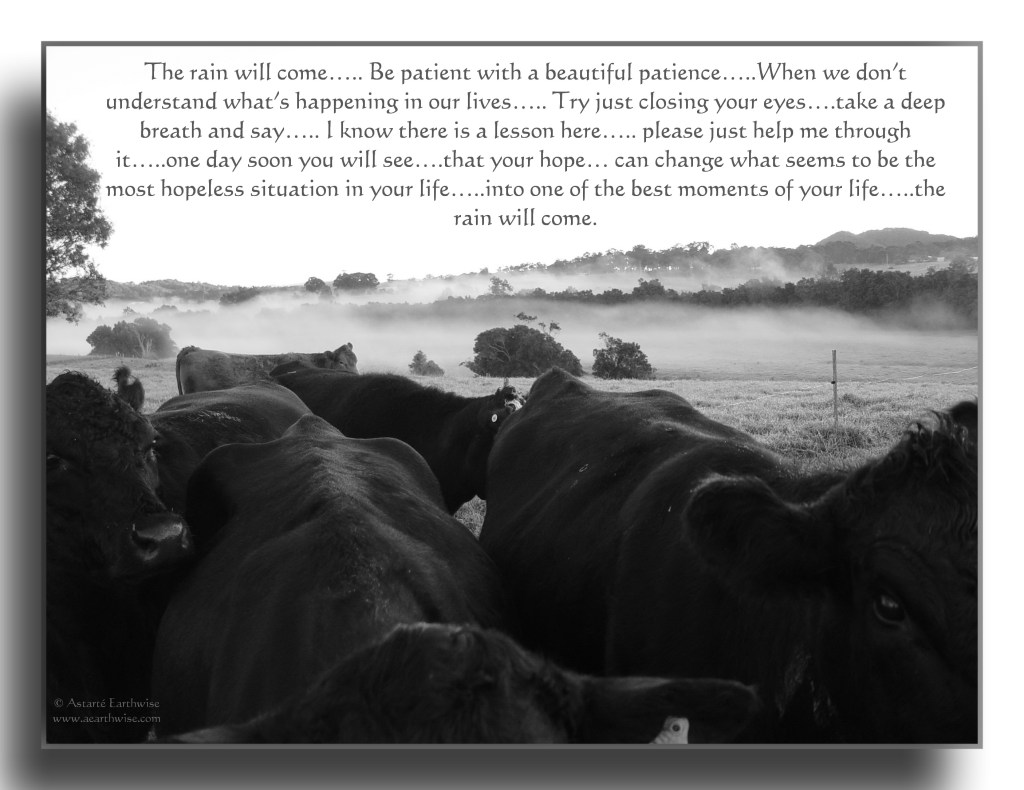 The Rain will&nbsp;Come….