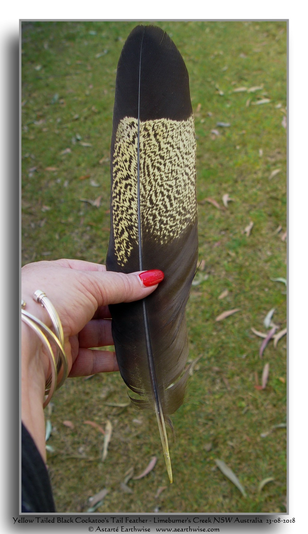 SPIRIT, RAIN &&nbsp;DEATH