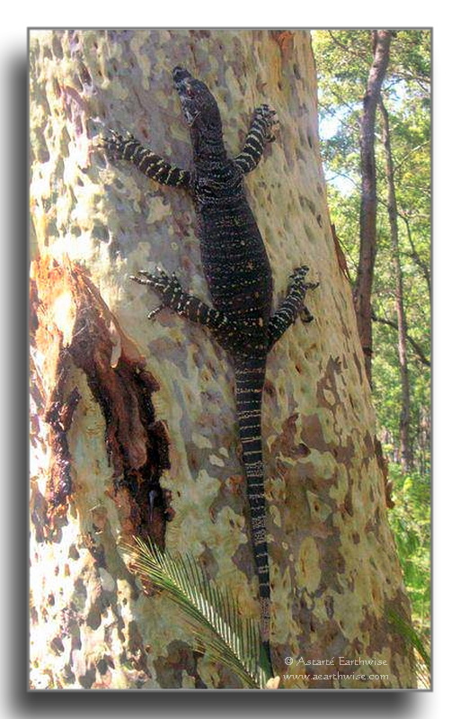 21230964_10155791050352975_2300866681570477532_n