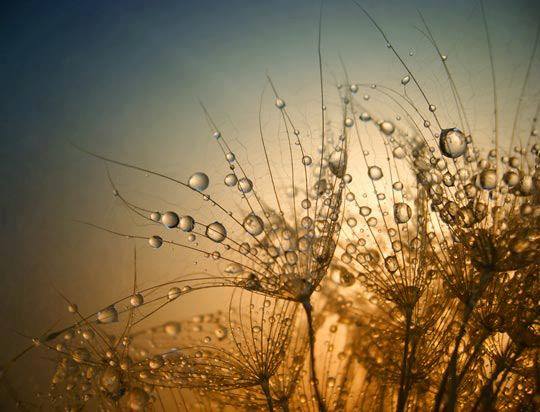 17795787_10155269436617975_2098427019235277380_n