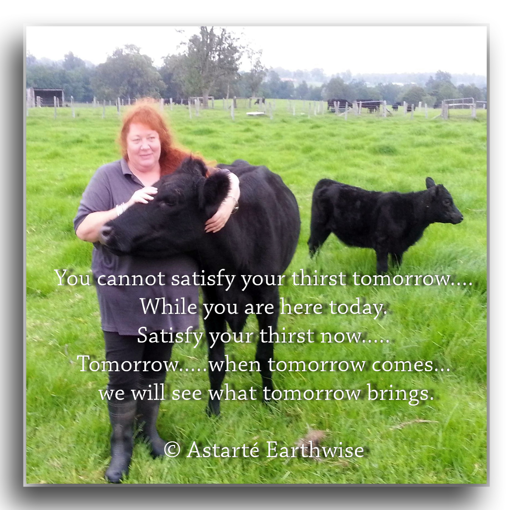 740032_10152434955702975_7288093205572556723_o - Copy