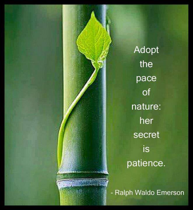 Patience