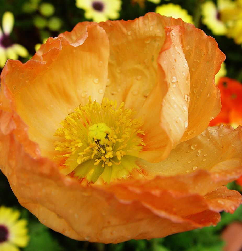 On Empathy….
