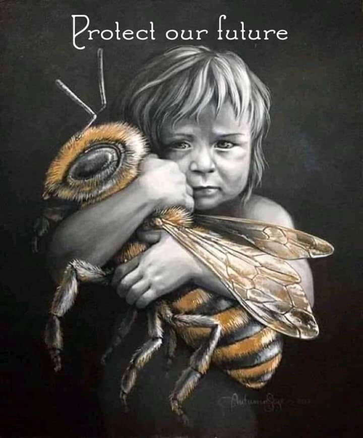 With Awareness, Compassion & Empathy