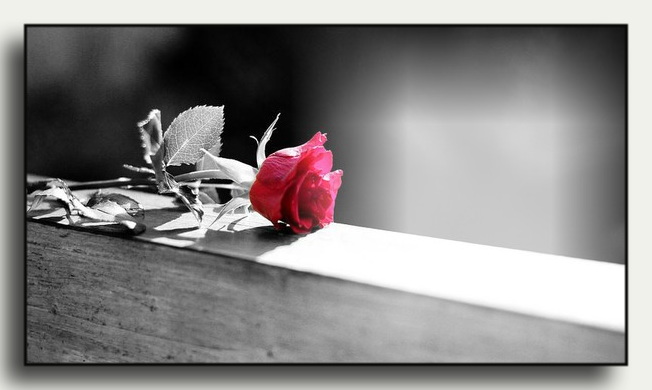 The Gift of Light…