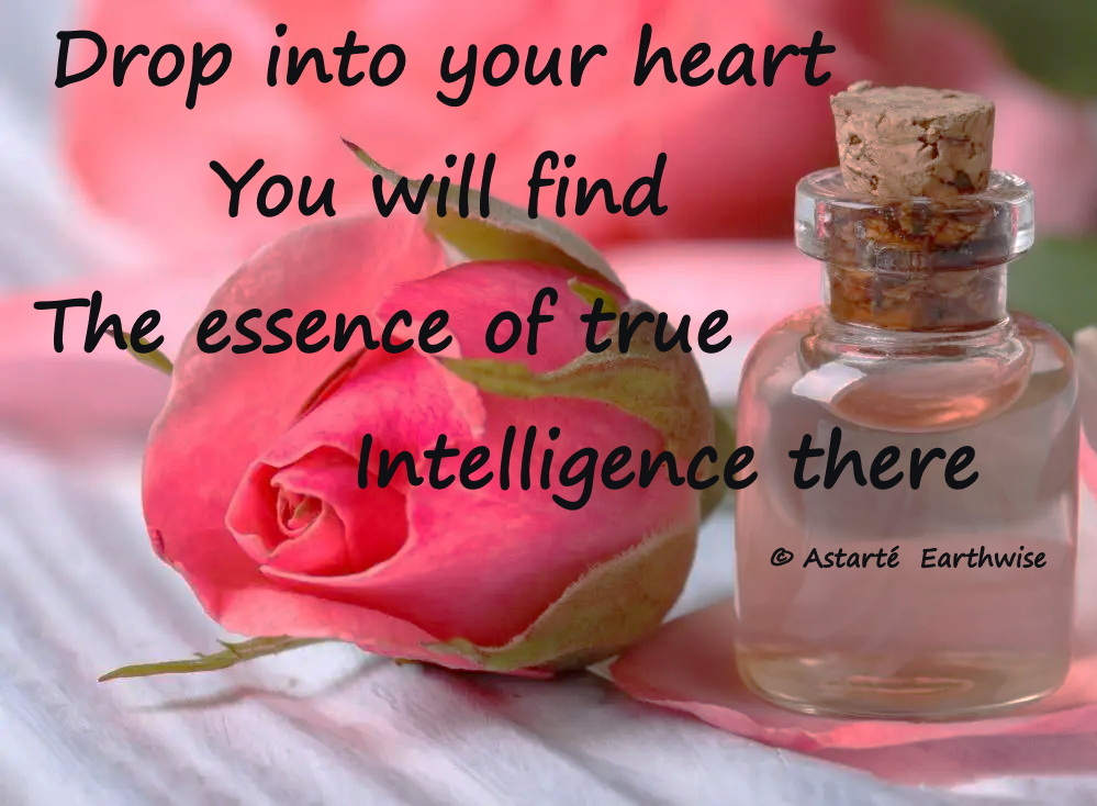 Drop into your heart